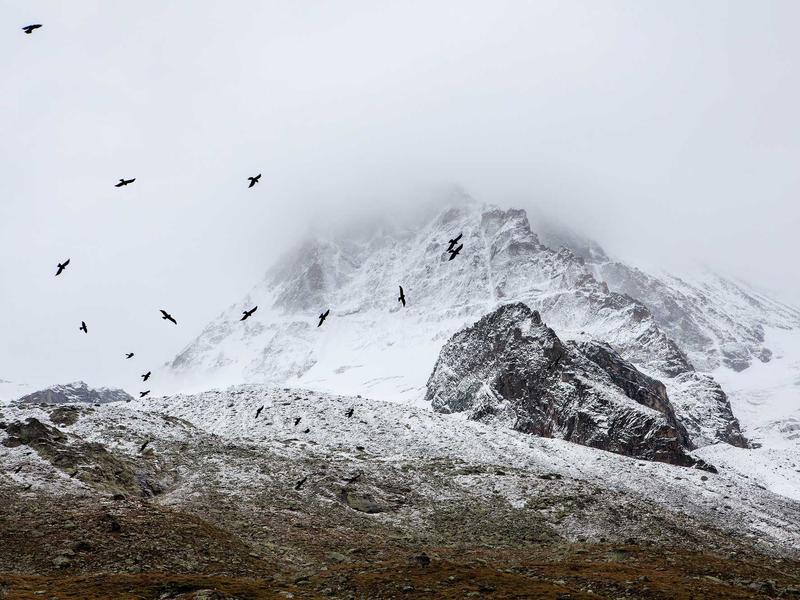 sudoku pattern recognition screenshot 6